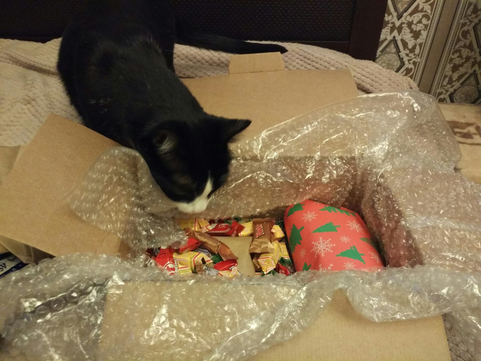 Omsk Santa is the best Santa! - My, Secret Santa, Gift exchange, New Year, Longpost, cat