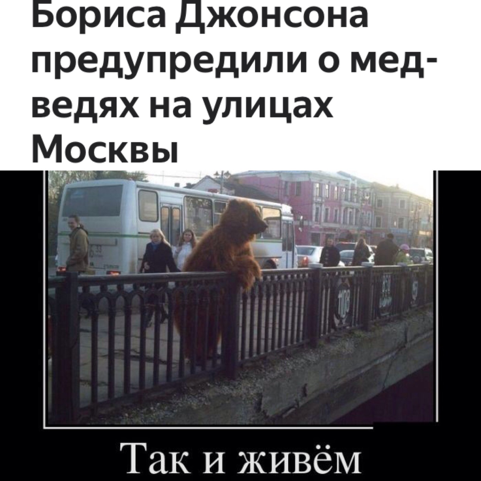 В каждой шутке... - Медведи, Русские, Теги немое