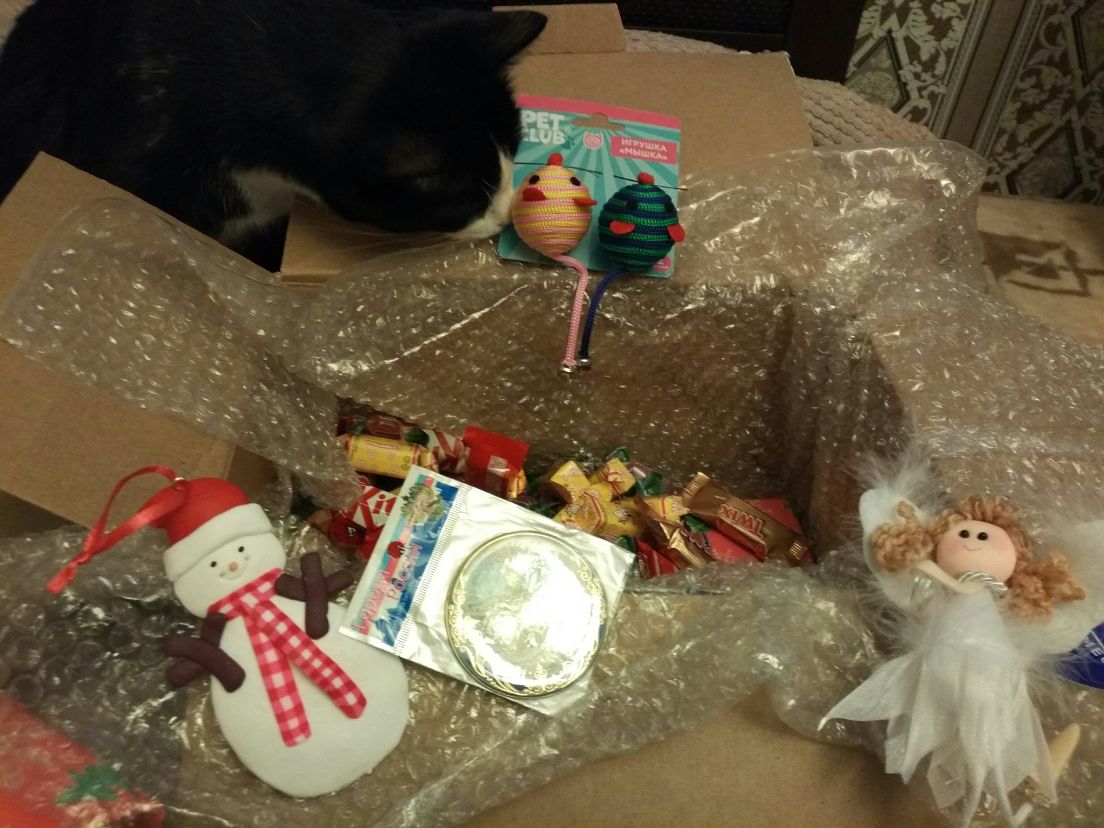 Omsk Santa is the best Santa! - My, Secret Santa, Gift exchange, New Year, Longpost, cat