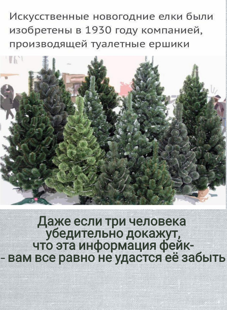 The whole essence of the media - Christmas trees, Ershik, Truth or lie