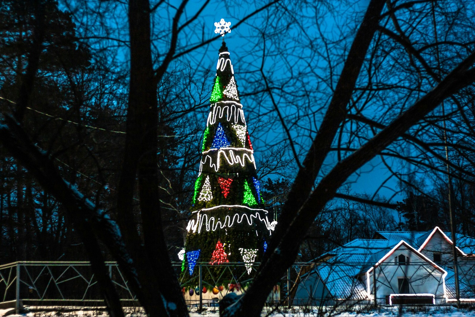 Now they are dressing up a cone in the middle of the forest ... - My, Christmas trees, Forest, Cone