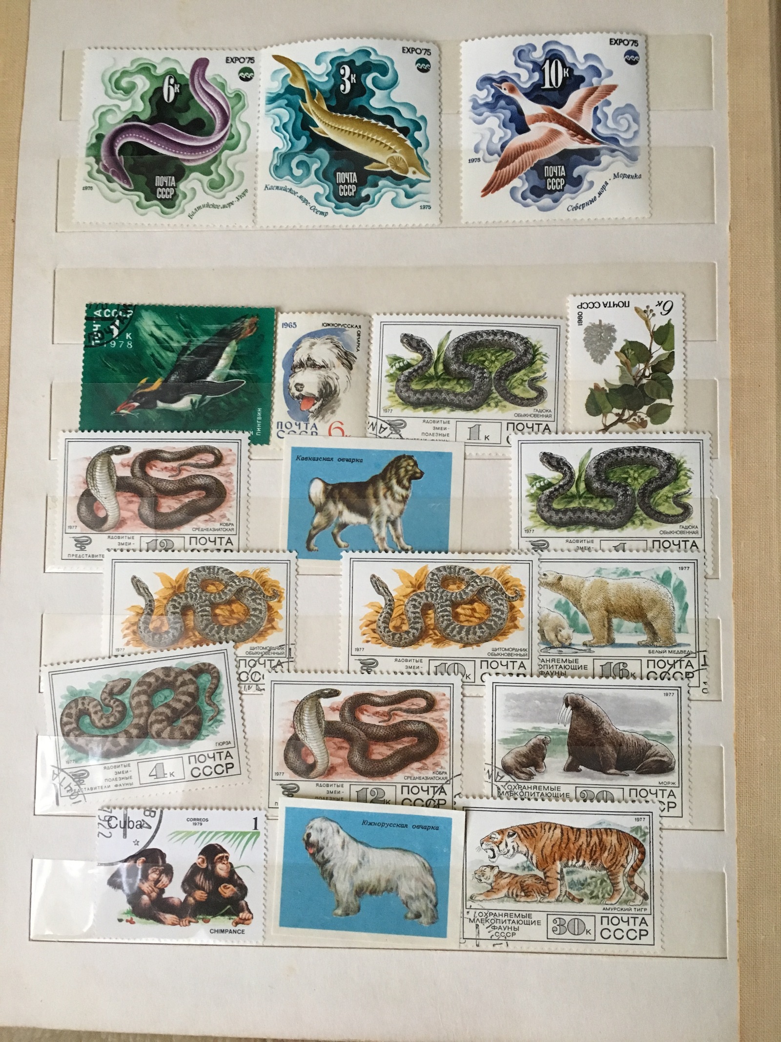 Are there any stamp collectors? :) - My, Stamps, My, Longpost