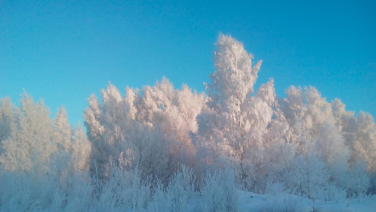 And today we have this... - My, Winter, beauty, Frost, , Longpost