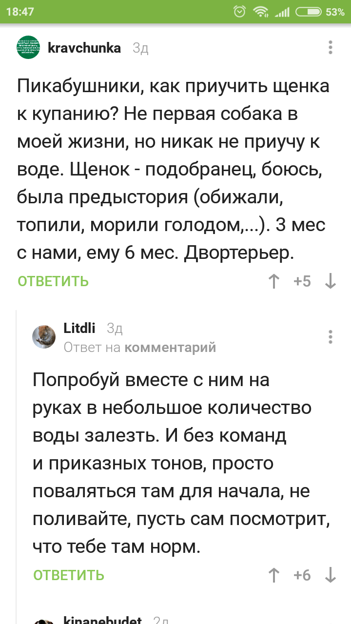 Не все советы хороши... - Собака, Ванна, Совет, Скриншот, Гифка, Комментарии, Пикабу