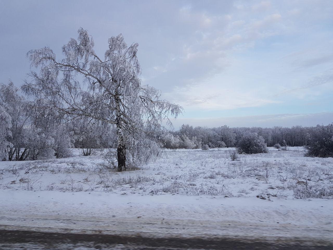 Just Saratov. - My, Saratov, Volga river, Longpost