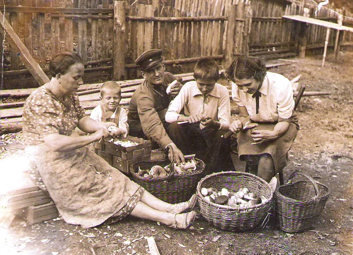 Волосово старые фотографии