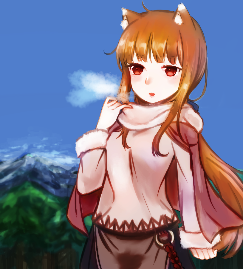 winter wolf - , Anime, Spice and Wolf, Horo holo, Holo, Anime art