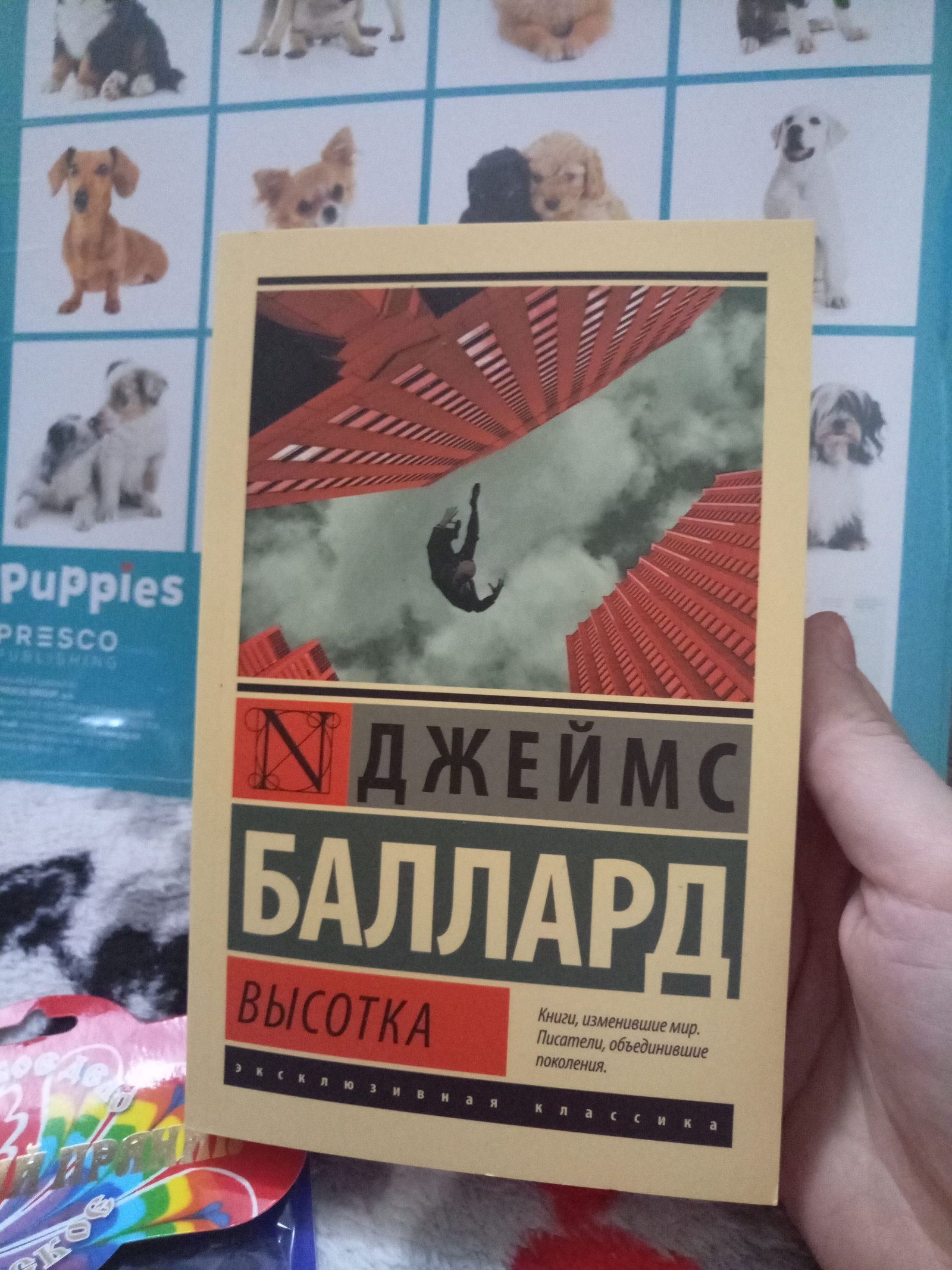 Подарки от Дедов Морозов Вадима Юрьевича и Антона Вячеславовича - Моё, Подарки, Обмен подарками, Новый Год, Сюрприз, Тайный Санта, Дед Мороз, Длиннопост