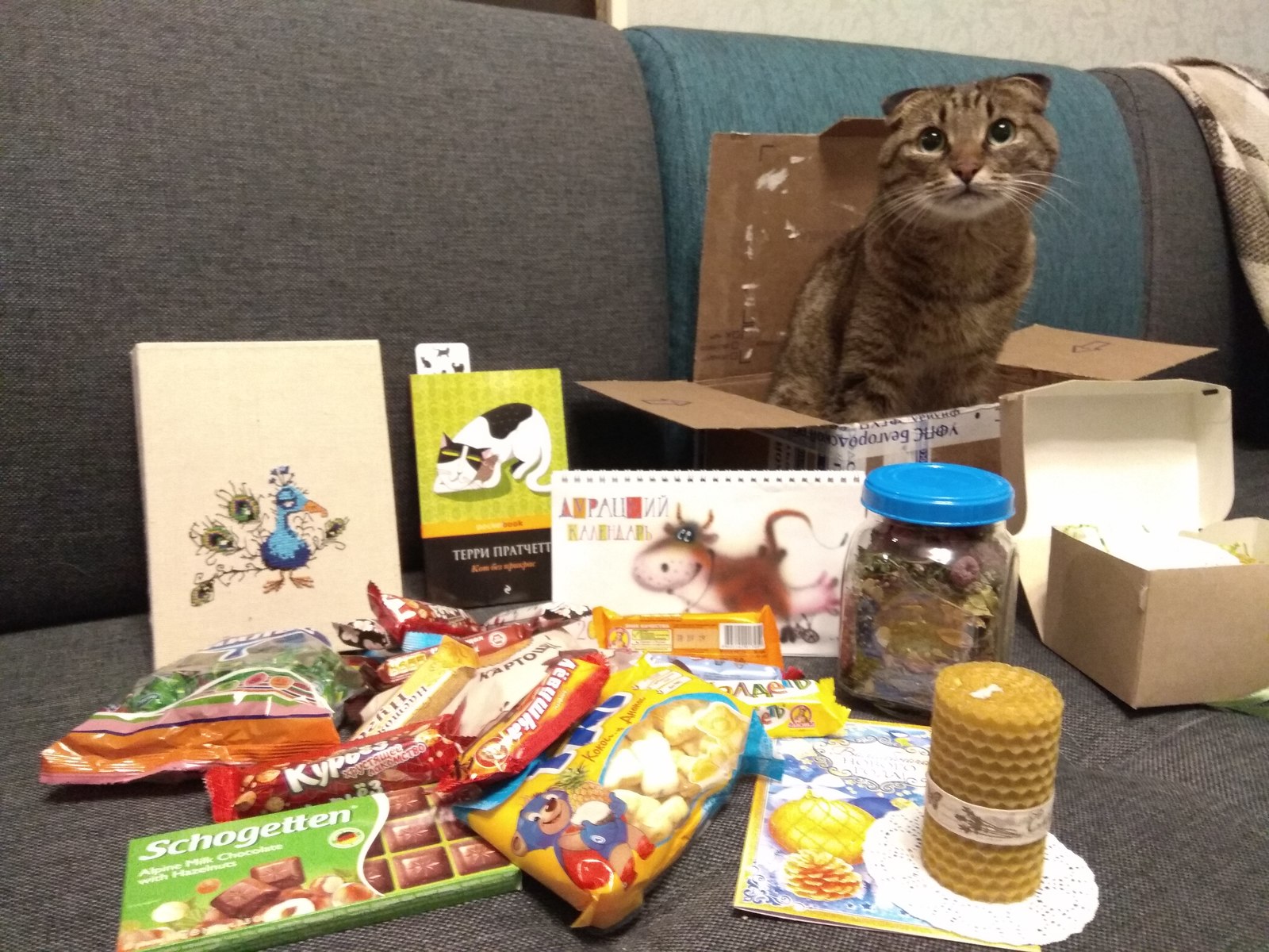 Gift from the Snow Maiden from Belgorod - My, Gift exchange, Secret Santa, Longpost, New Year's Kote, cat