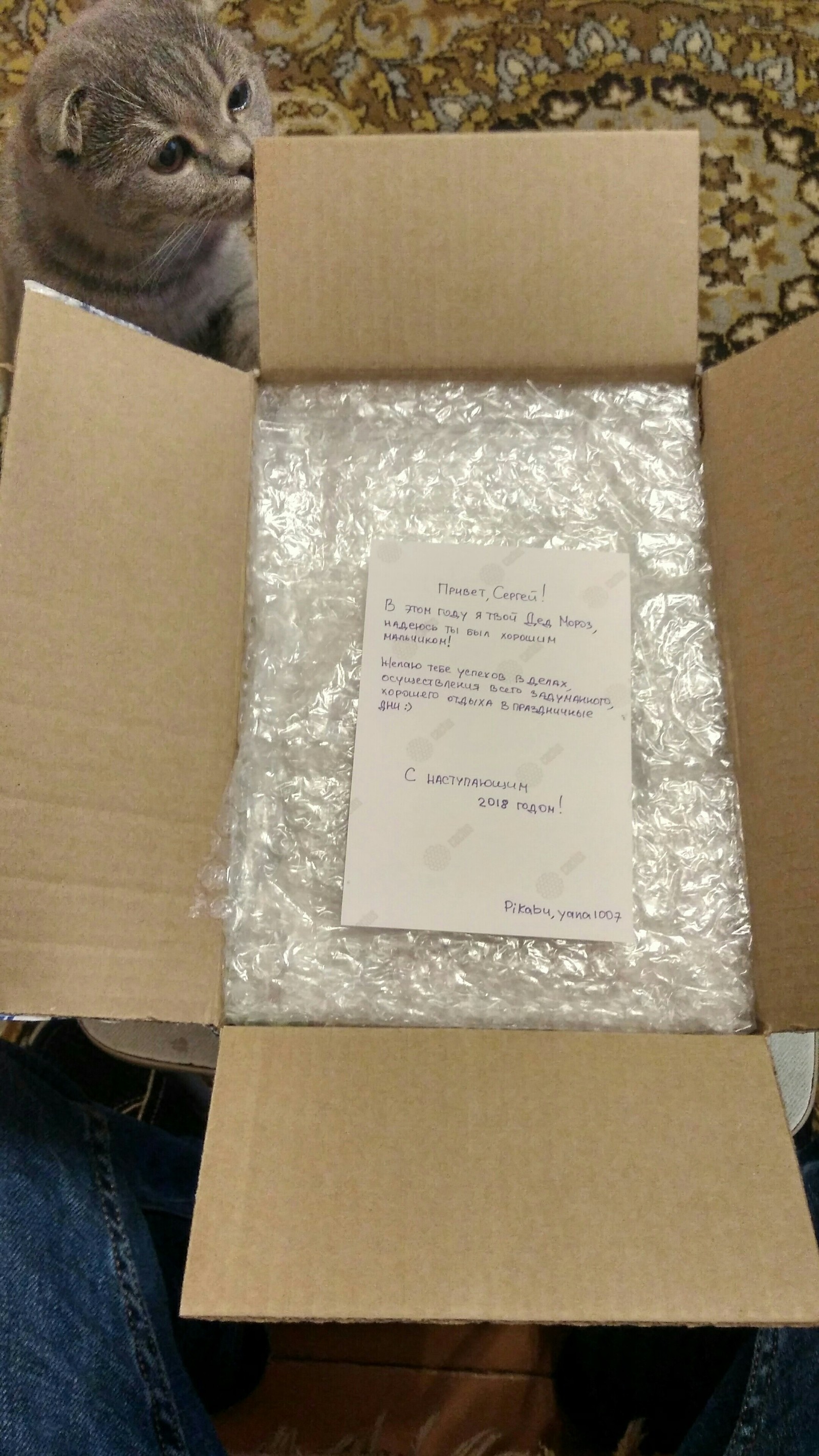 This is a gift from St. Petersburg! - My, Gift exchange, New Year, Saint Petersburg, Orsk, Longpost