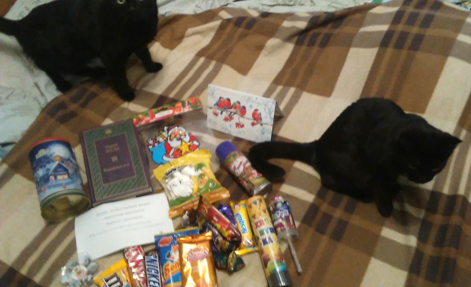 New Year's exchange) - My, Gift exchange, cat, Tomsk, Presents, Longpost