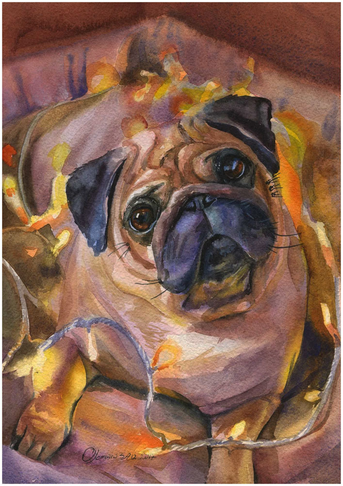 Dogs, drawing dogs - My, Dog, Longpost, Pre-holiday mood, Watercolor, Painting