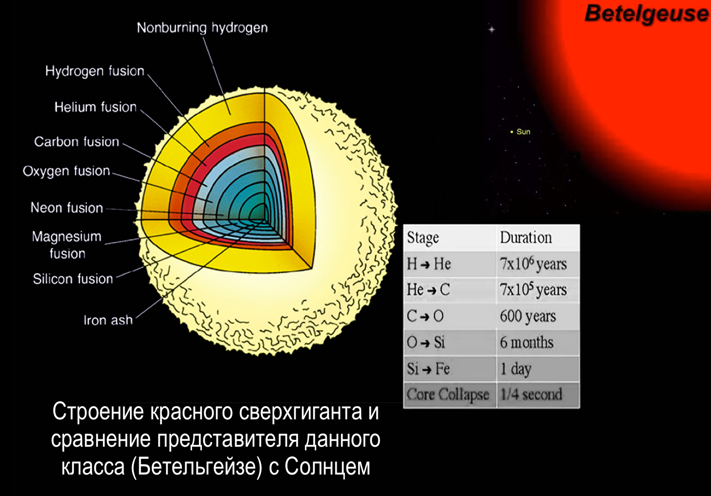 Строение сверхгигантов. Строение звезд. Строение сферх гигантов. Внутреннее строение звезд гигантов.