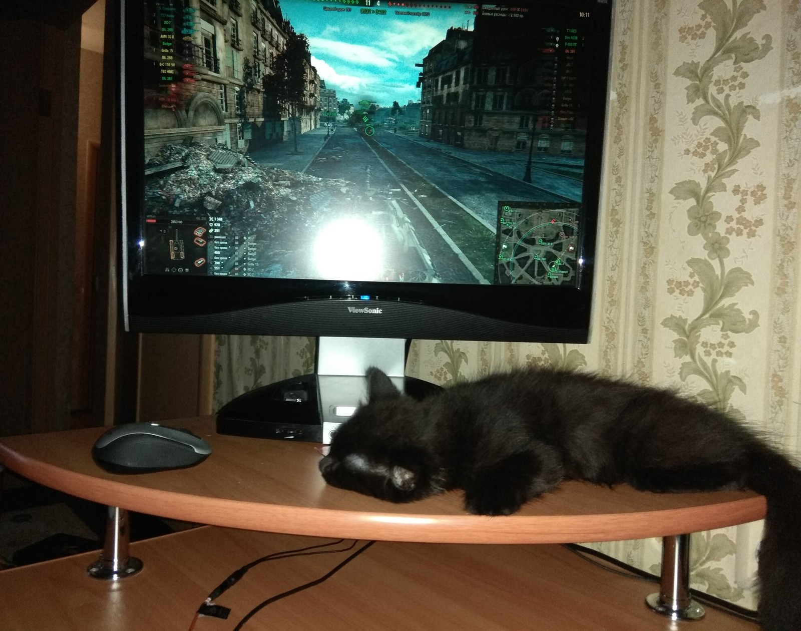 The owner went to bed. - My, cat, World of tanks, Dream, Time