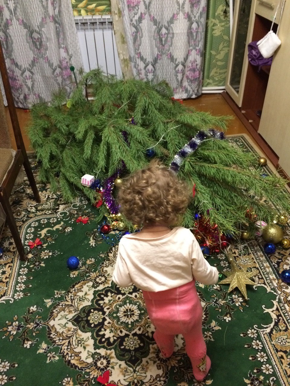 Spruce zavalun. - My, New Year, Christmas trees, Children's happiness, Longpost