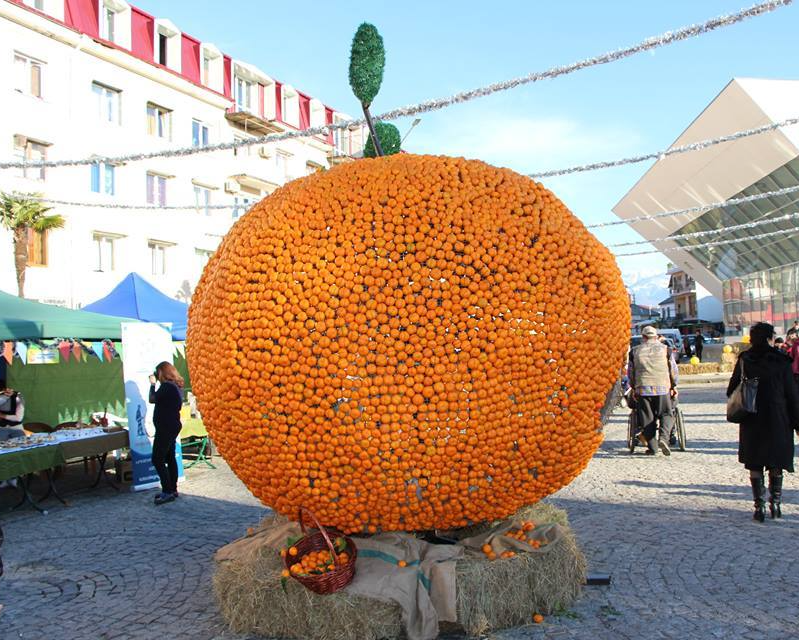 citrus festival - Kobuleti, Georgia, Tangerines, Taken from facebook