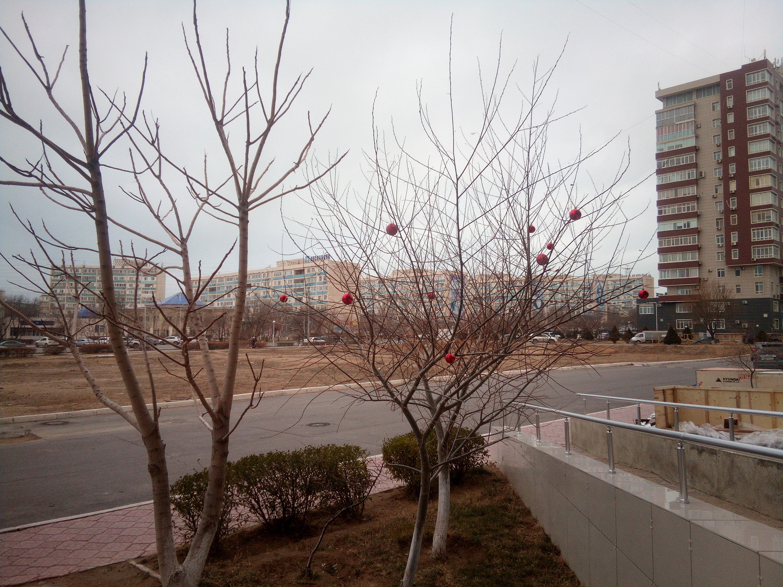 Christmas mood - My, The photo, My, New Year, Aktau, Unbridled fun