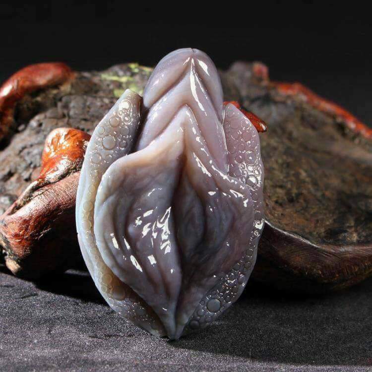 In fact, we are all originally molluscs. - , Animals, Ancestors, Symbolism, Longpost