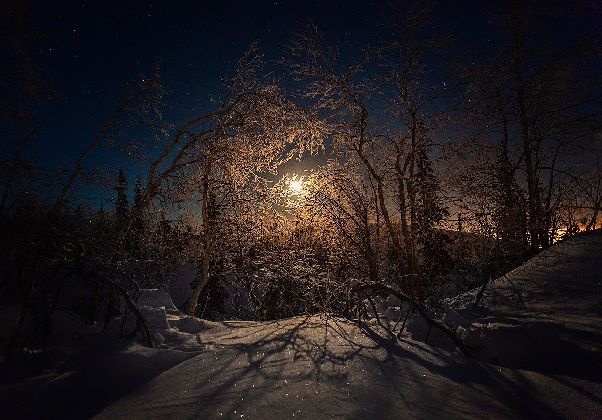 Лунная ночь - Фотография, Пейзаж, Зима, Ночь