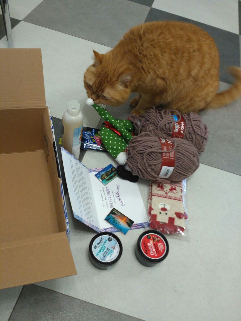 Anonymous Santa Claus from Rostov-on-Don to Rostov-on-Don - My, cat, Gift exchange, New Year, Secret Santa, , Longpost