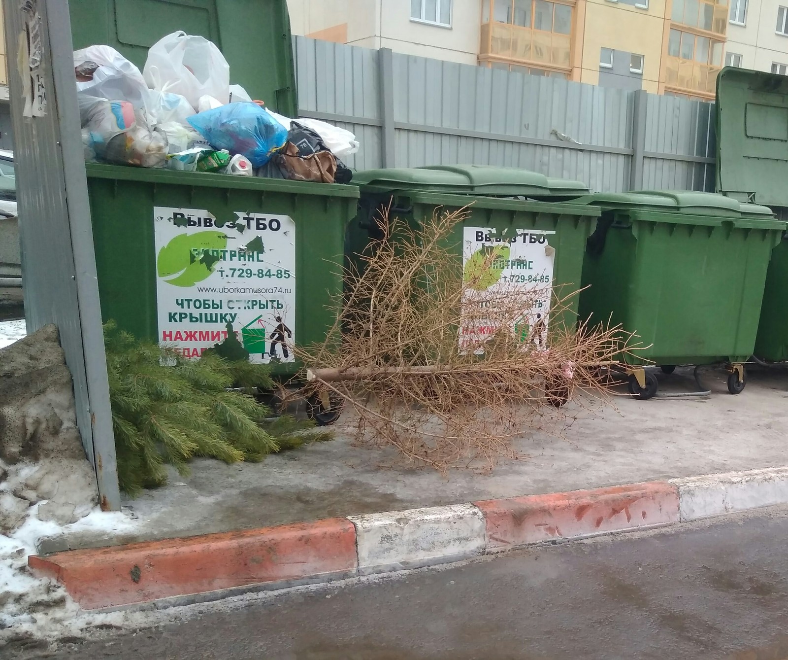 Weak, surrendered. - Chelyabinsk, Christmas trees, The photo, Garbage