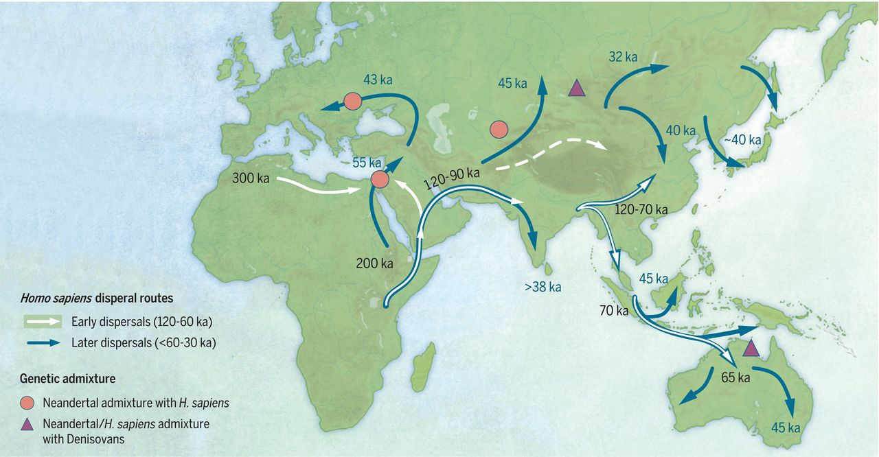 Who and where did he come from. Start. - My, Homo sapiens, First people, , , , , Longpost, Europe, Wheat