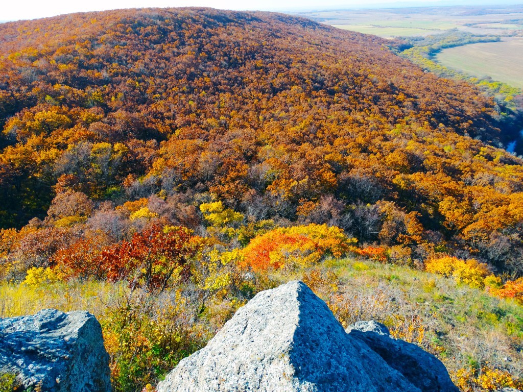 Autumn, on the extinct volcano Senkin's hat - My, Travels, Primorsky Krai, Oktyabrsky District, , Senkina hat, beauty, Longpost