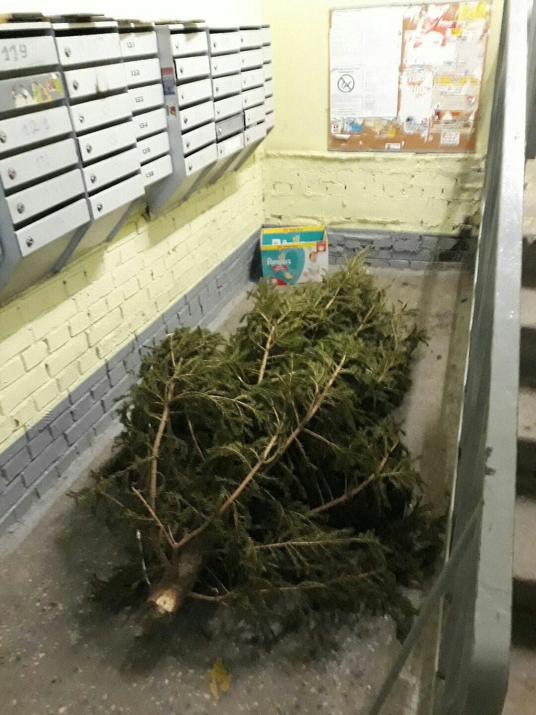 Didn't fit.... - Business, Christmas trees, Garbage, New Year, Srach, Longpost