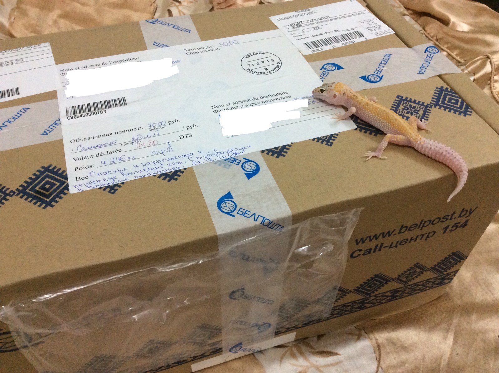 Post-Christmas gifts! - My, Gift exchange, Secret Santa, Presents, New Year, Holidays, Milota, Longpost