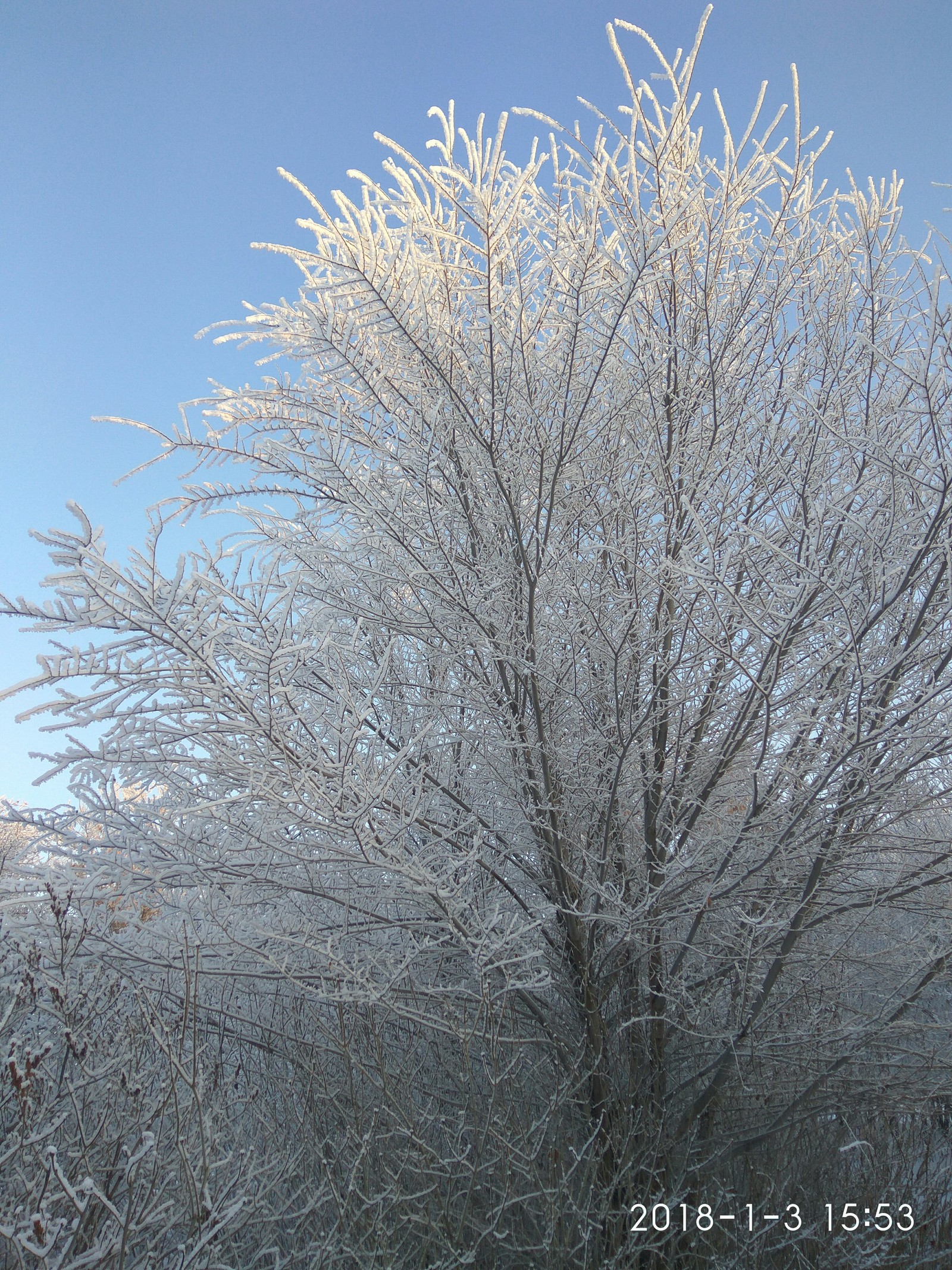 For those who are unlucky with winter this year (photo post). - My, The photo, The park, Longpost, Bashkortostan, Winter, Snow, Frost