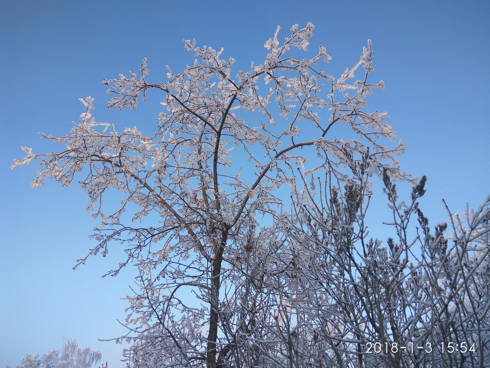 For those who are unlucky with winter this year (photo post). - My, The photo, The park, Longpost, Bashkortostan, Winter, Snow, Frost