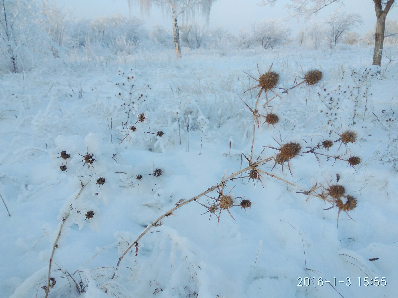 For those who are unlucky with winter this year (photo post). - My, The photo, The park, Longpost, Bashkortostan, Winter, Snow, Frost