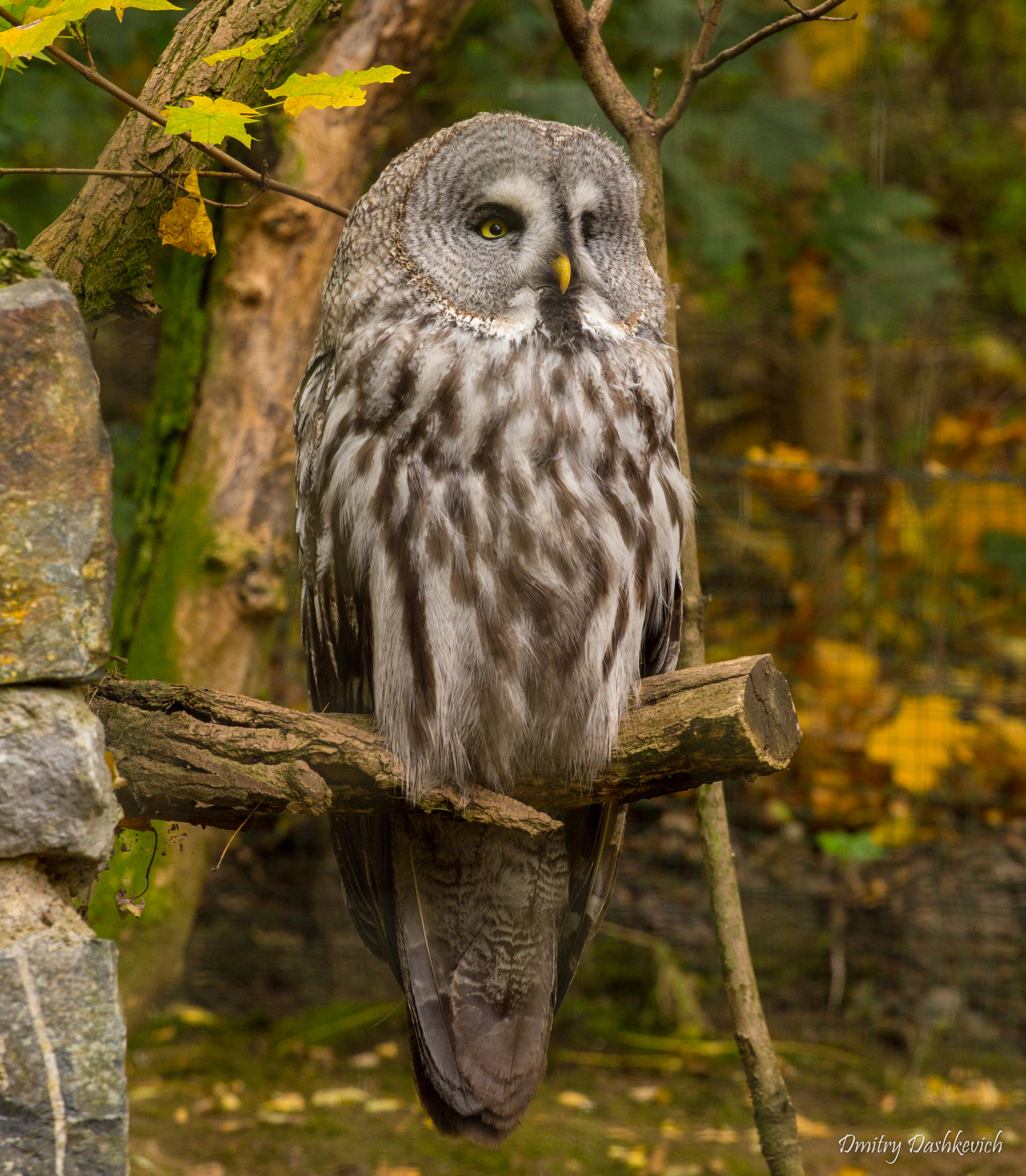 Prague Zoo - My, Zoo, Prague Zoo, Longpost