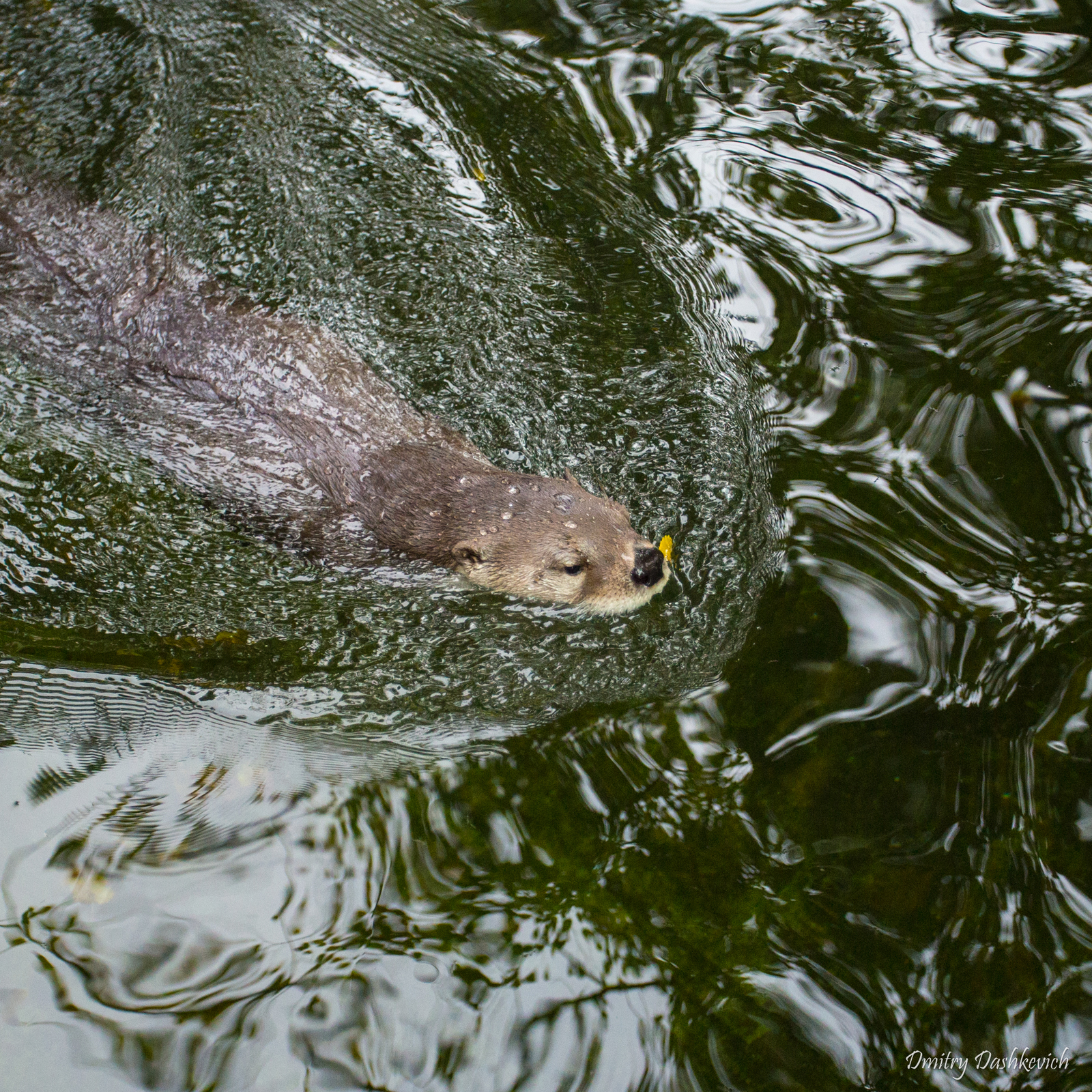 Prague Zoo - My, Zoo, Prague Zoo, Longpost