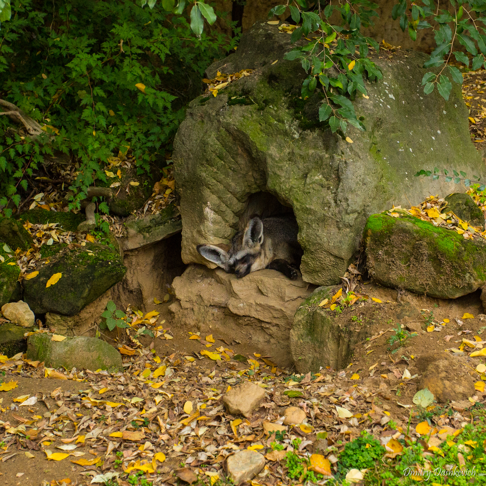 Prague Zoo - My, Zoo, Prague Zoo, Longpost