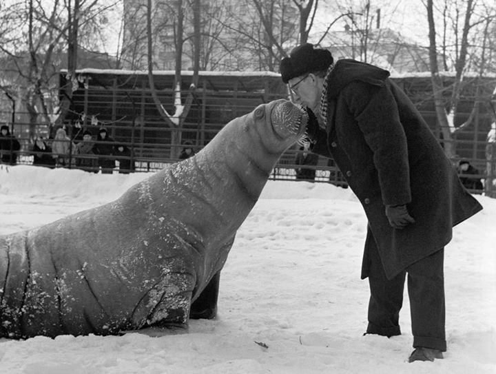 USSR in photographs. - the USSR, The photo, Longpost