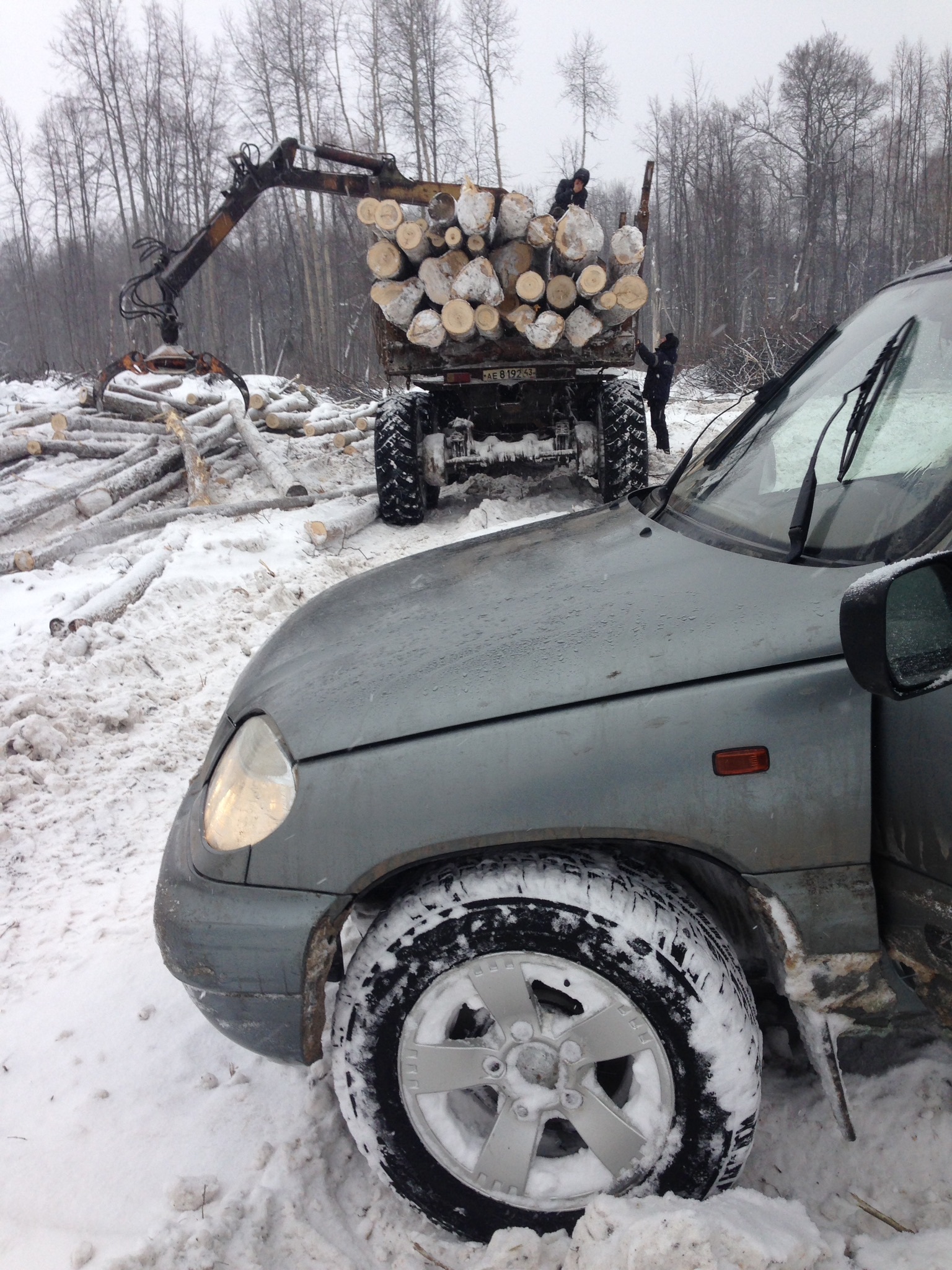 Photo from a logging site. - My, Forest, Work