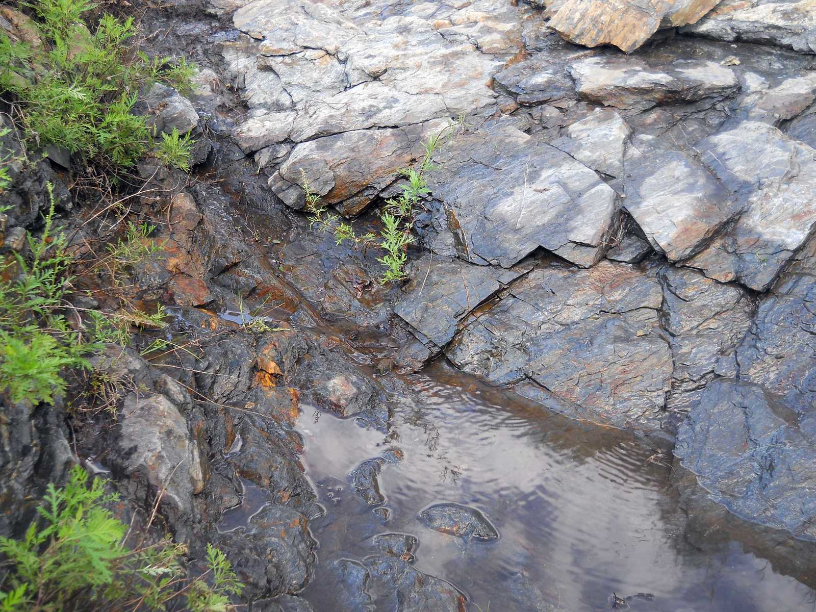 Neighborhood of Olovyannaya station, Daurskaya Sopka, Trans-Baikal Territory - My, , Nature, Hike, Longpost