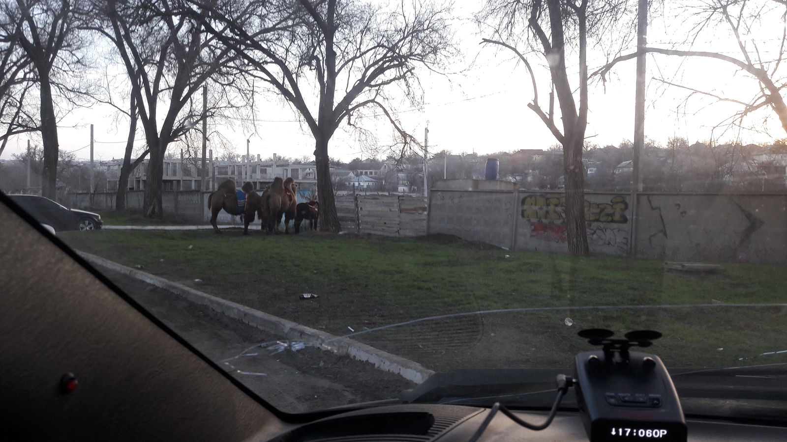 Forgotten Republic? - My, Travelers, Kalmykia, Russia, Longpost