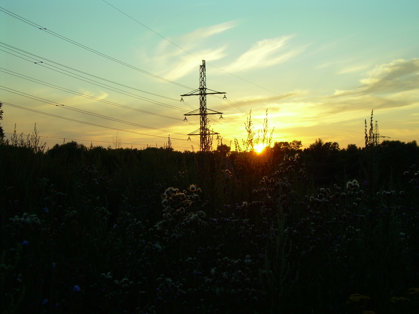 A bit of summer vibe... - My, Summer, Mood, The photo, Nature, Village, Longpost