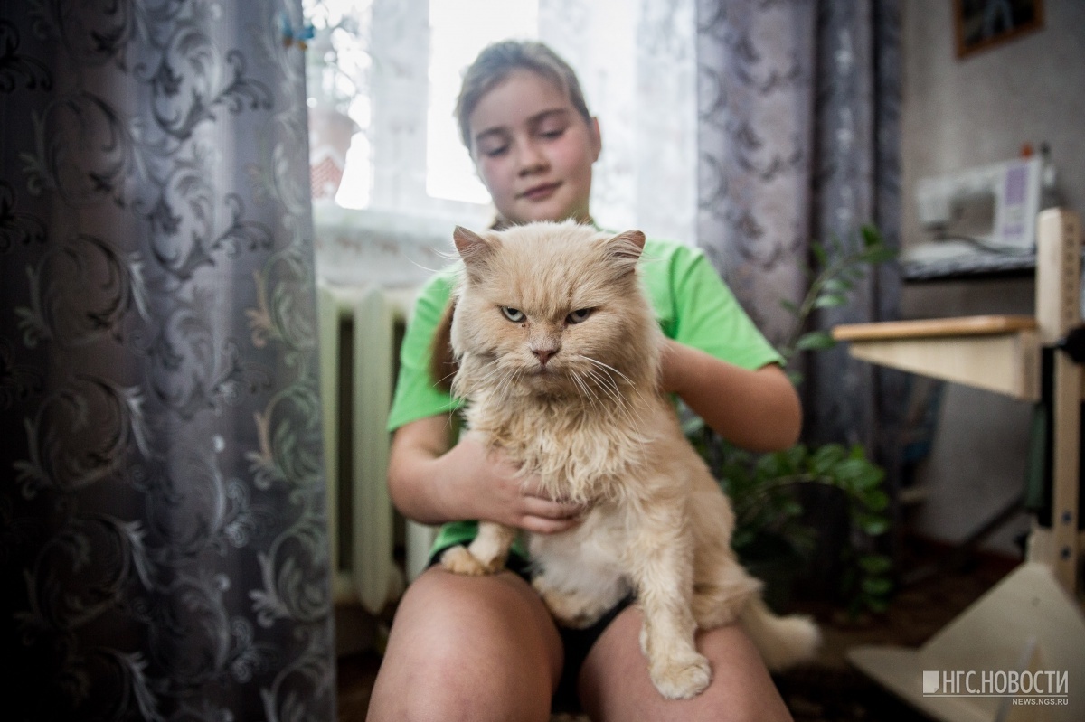 Crystal Boy: The story of 6-year-old Syoma from Siberia, due to a rare disease, his bones break from any touch - Siberia, Novosibirsk region, NHS, Osteogenesis imperfecta, Longpost, Disease, Bones