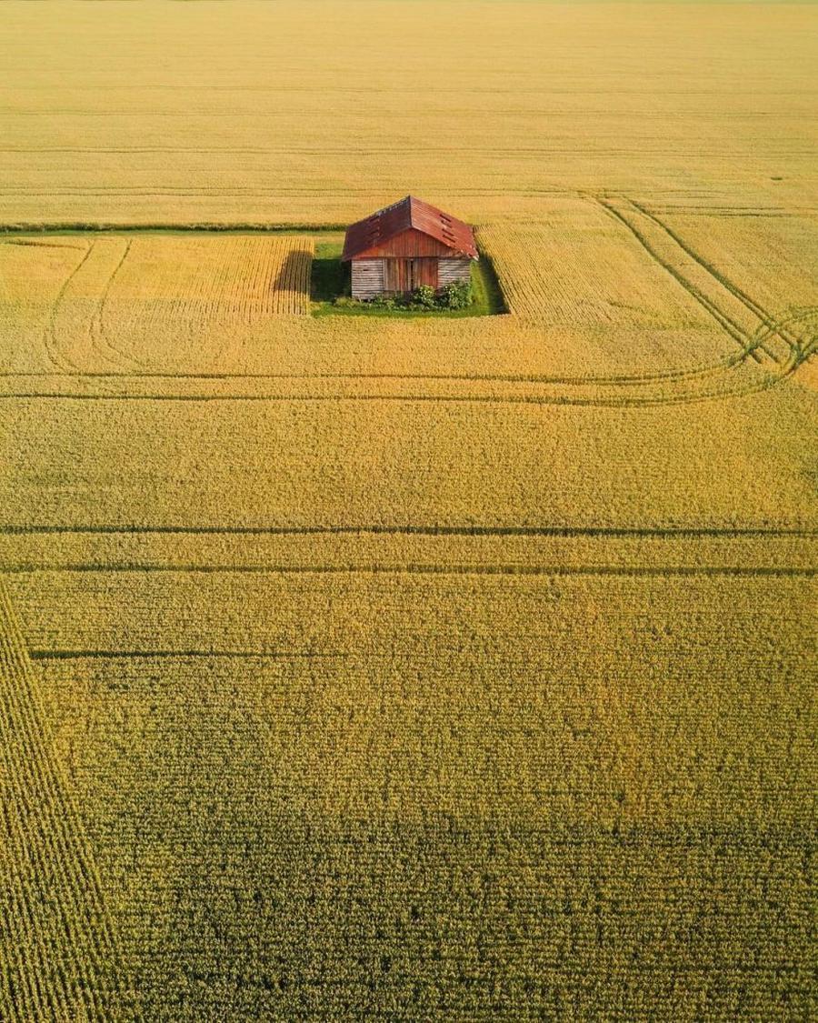 Spring and summer - Abandoned, beauty of nature, Longpost