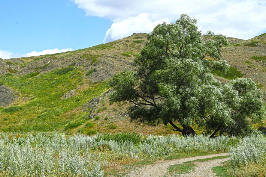 The delights of life in the wilderness-2-paranormal) - My, Bashkortostan, , Longpost