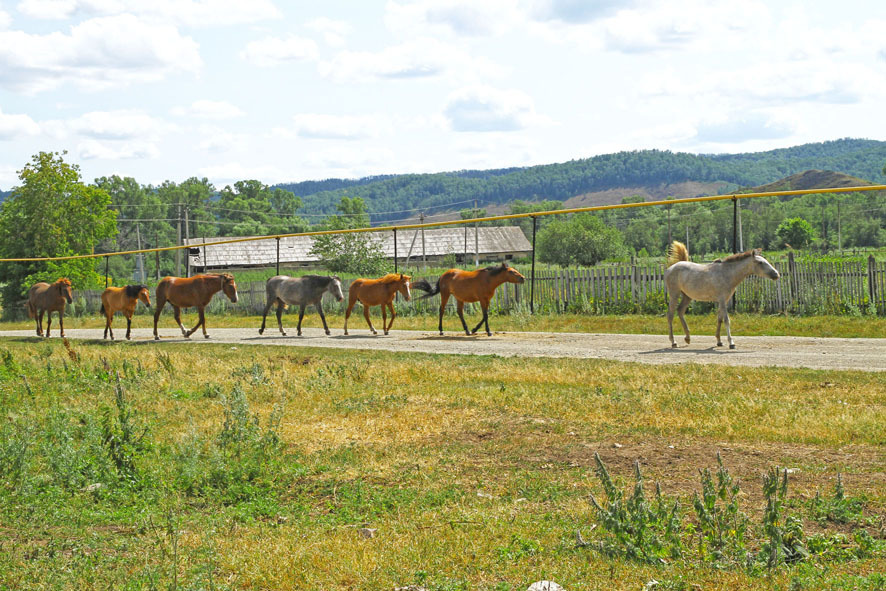 The delights of life in the wilderness-2-paranormal) - My, Bashkortostan, , Longpost