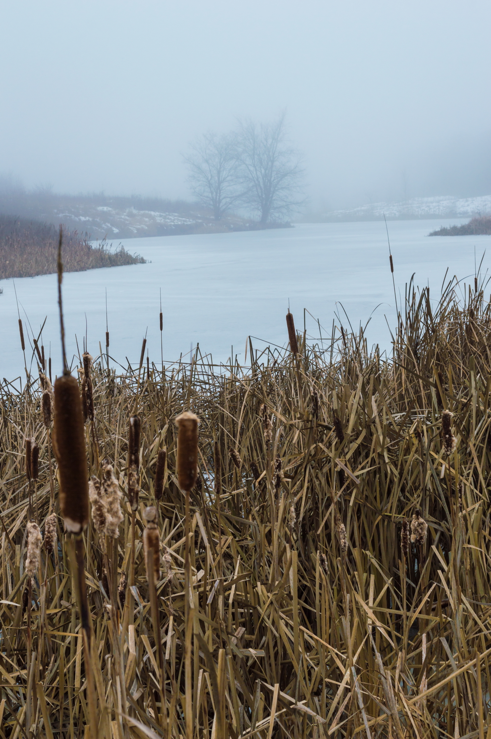 Fog - My, The photo, Village, Fog, Longpost