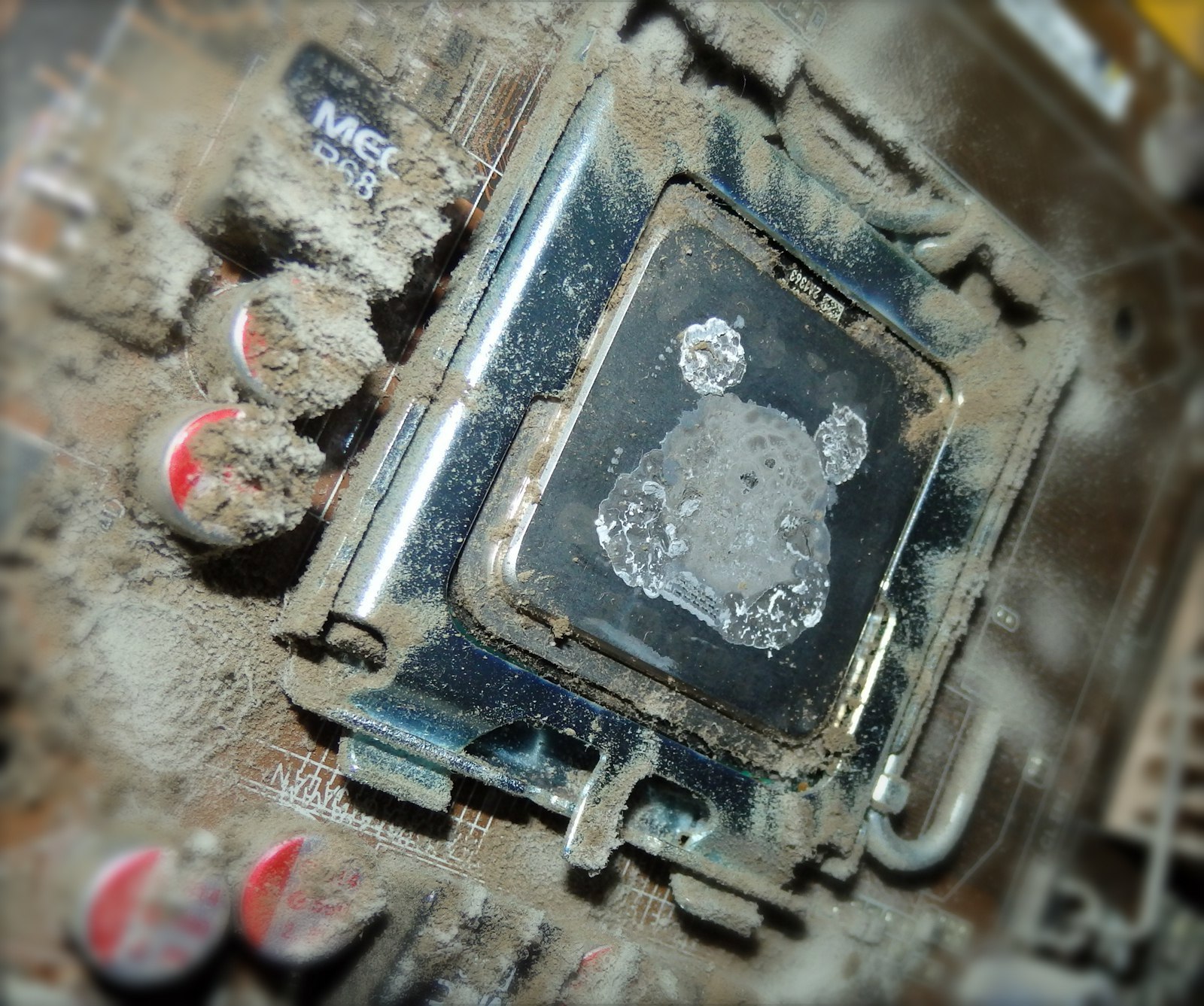 Processor eye - dust revives) - My, Dust, Macro, CPU, Longpost, Macro photography