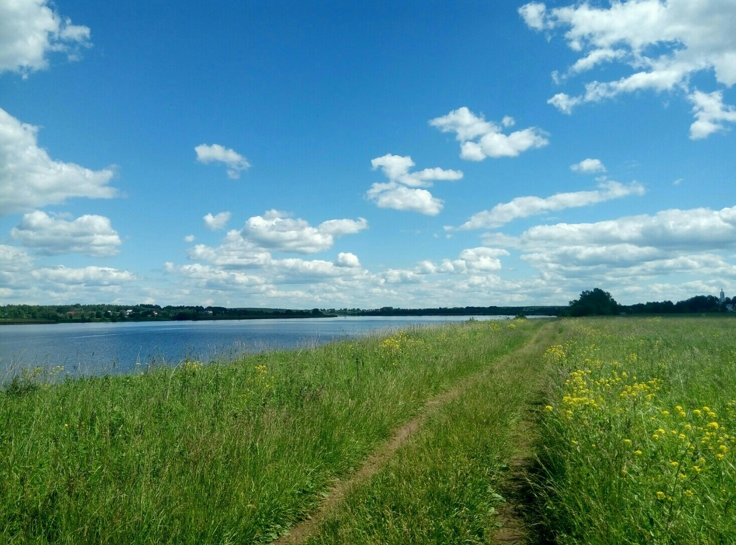 I will also share the beauty of my native land - My, Landscape, Dubna, Volga, Summer, The photo, Longpost, Volga river