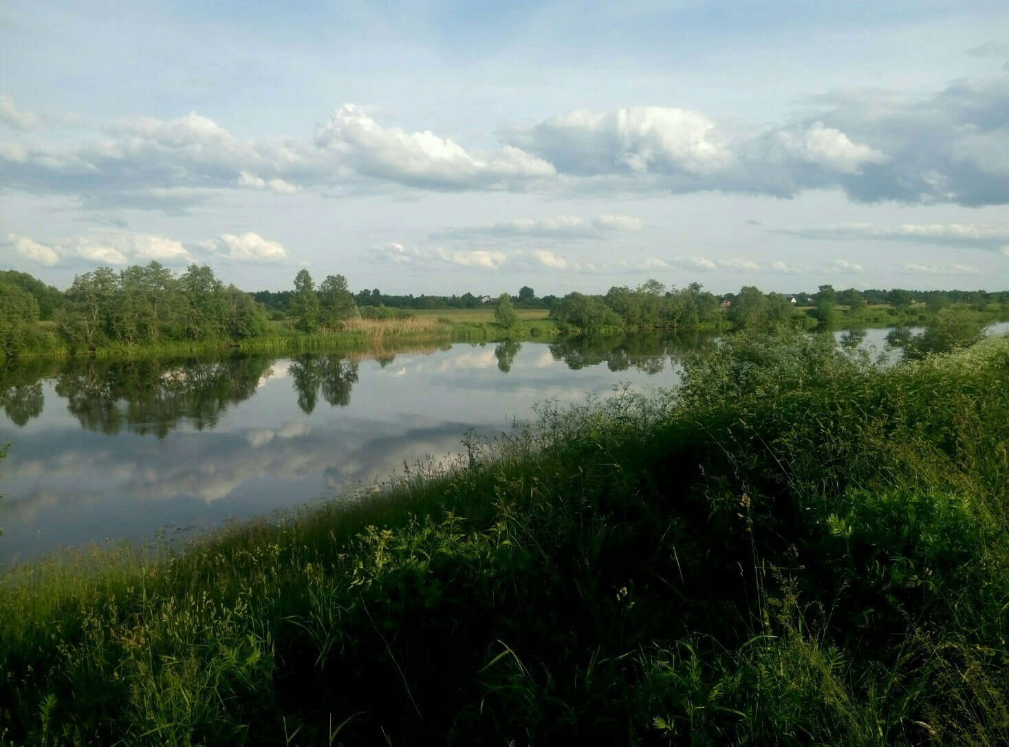 I will also share the beauty of my native land - My, Landscape, Dubna, Volga, Summer, The photo, Longpost, Volga river