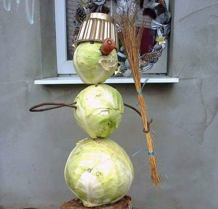 There is still no snow. - snowman, Cabbage, Humor