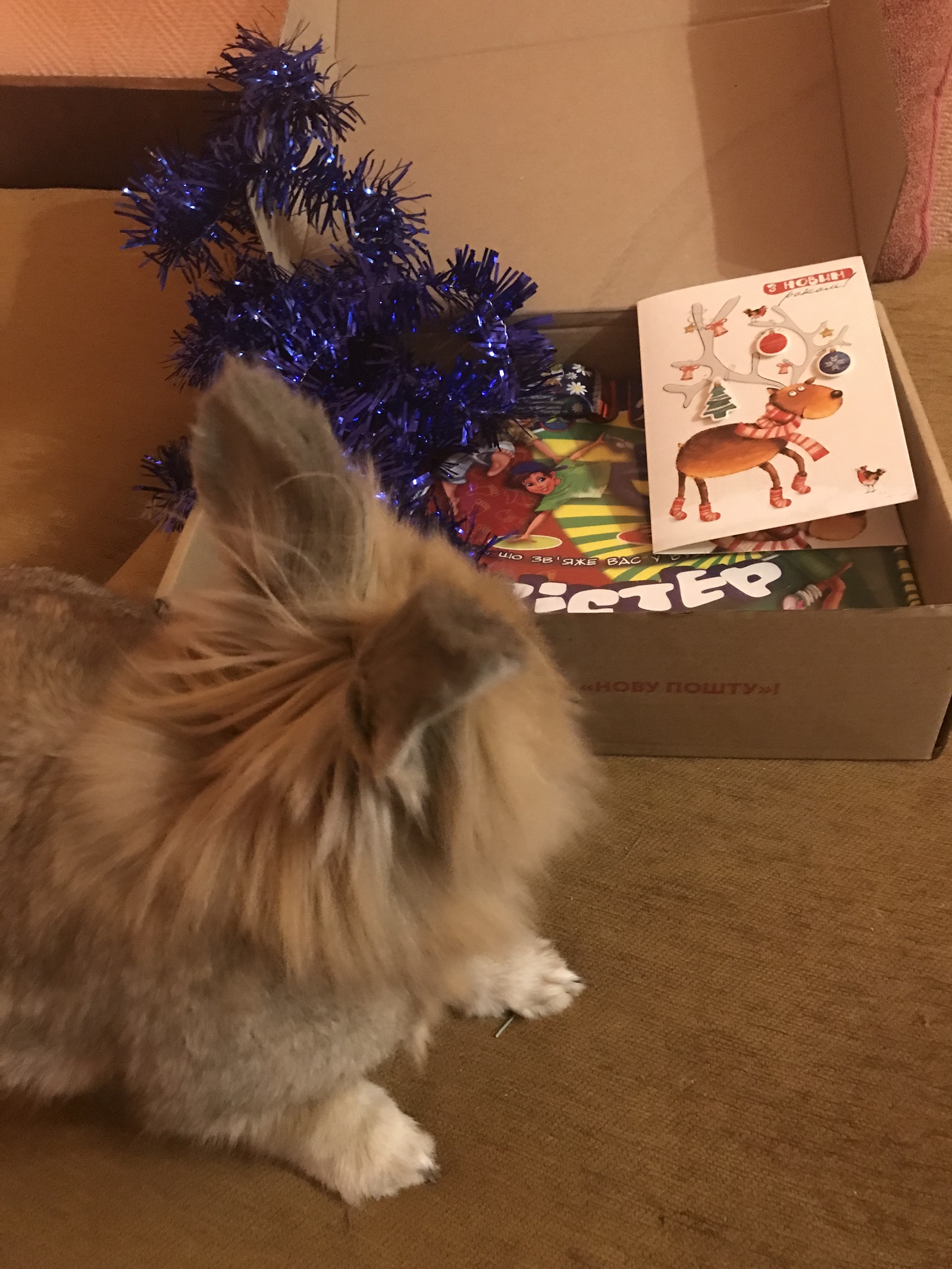 Santa Claus came twice - My, Secret Santa, Father Frost, New Year, Gift exchange, Rabbit, Longpost